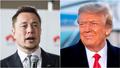 Musk vill hleypa Trump aftur á Twitter